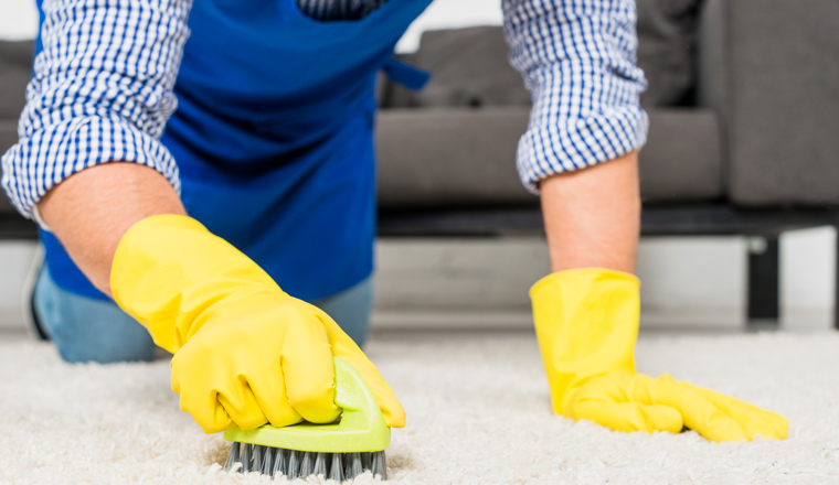Carpet Cleaning Services in Auckland, NZ